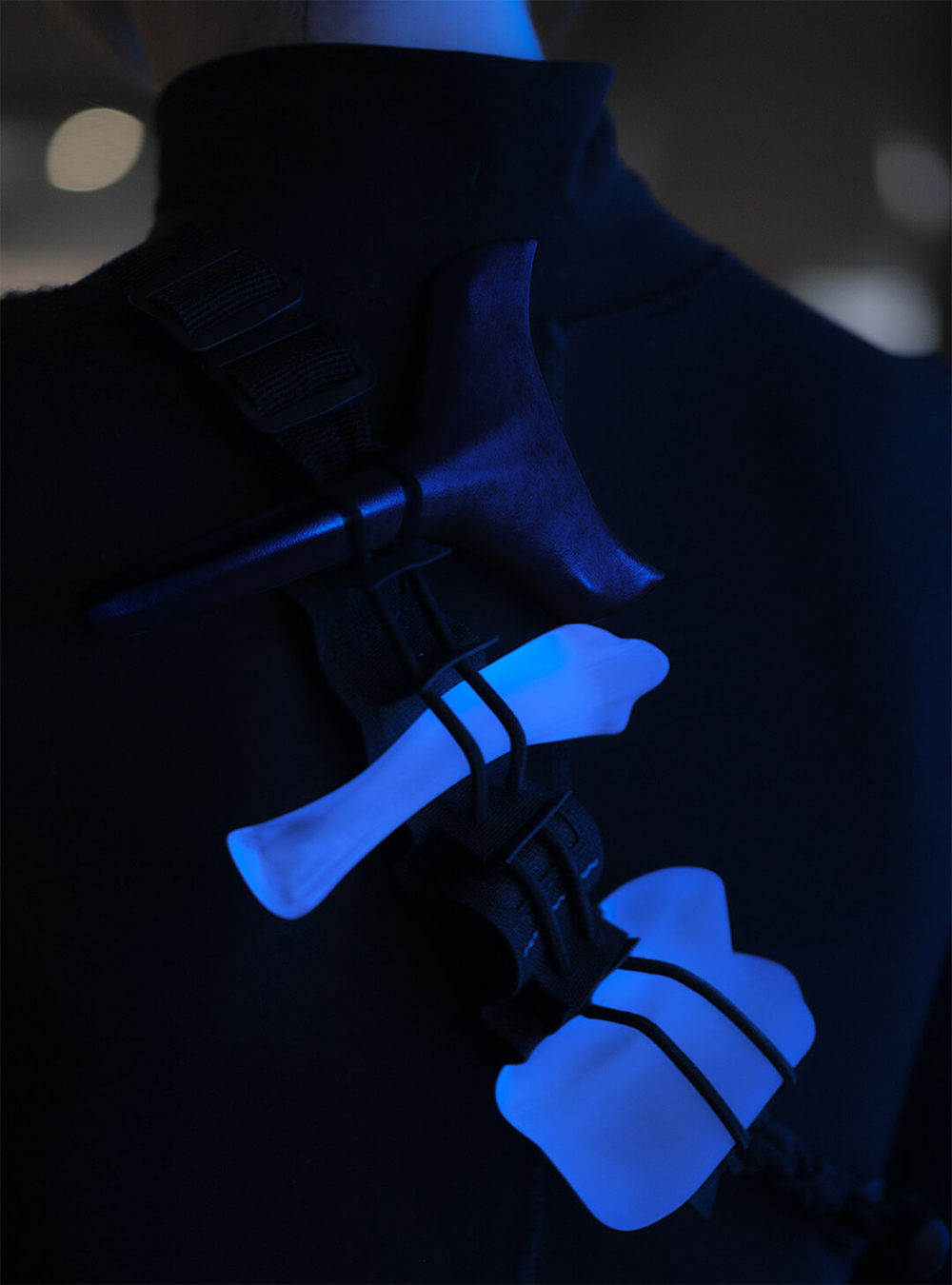 SOI view 6