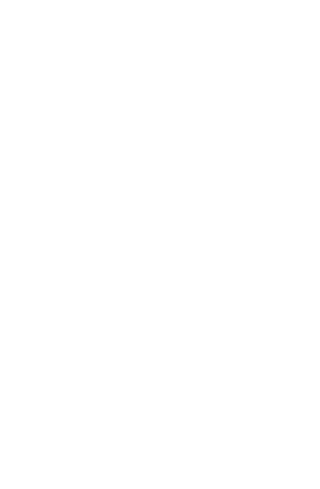 SOI Logo